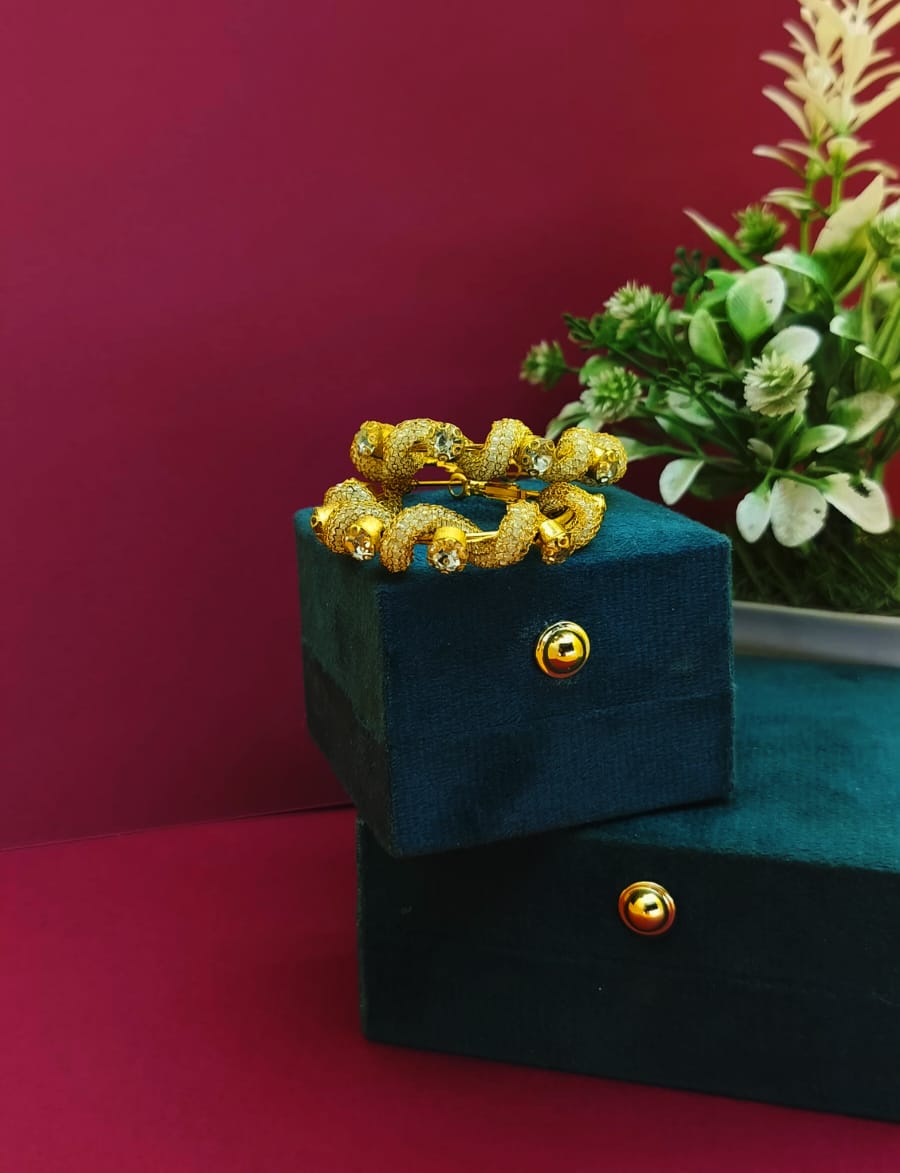 Surogya Traditional Designer Earrings
